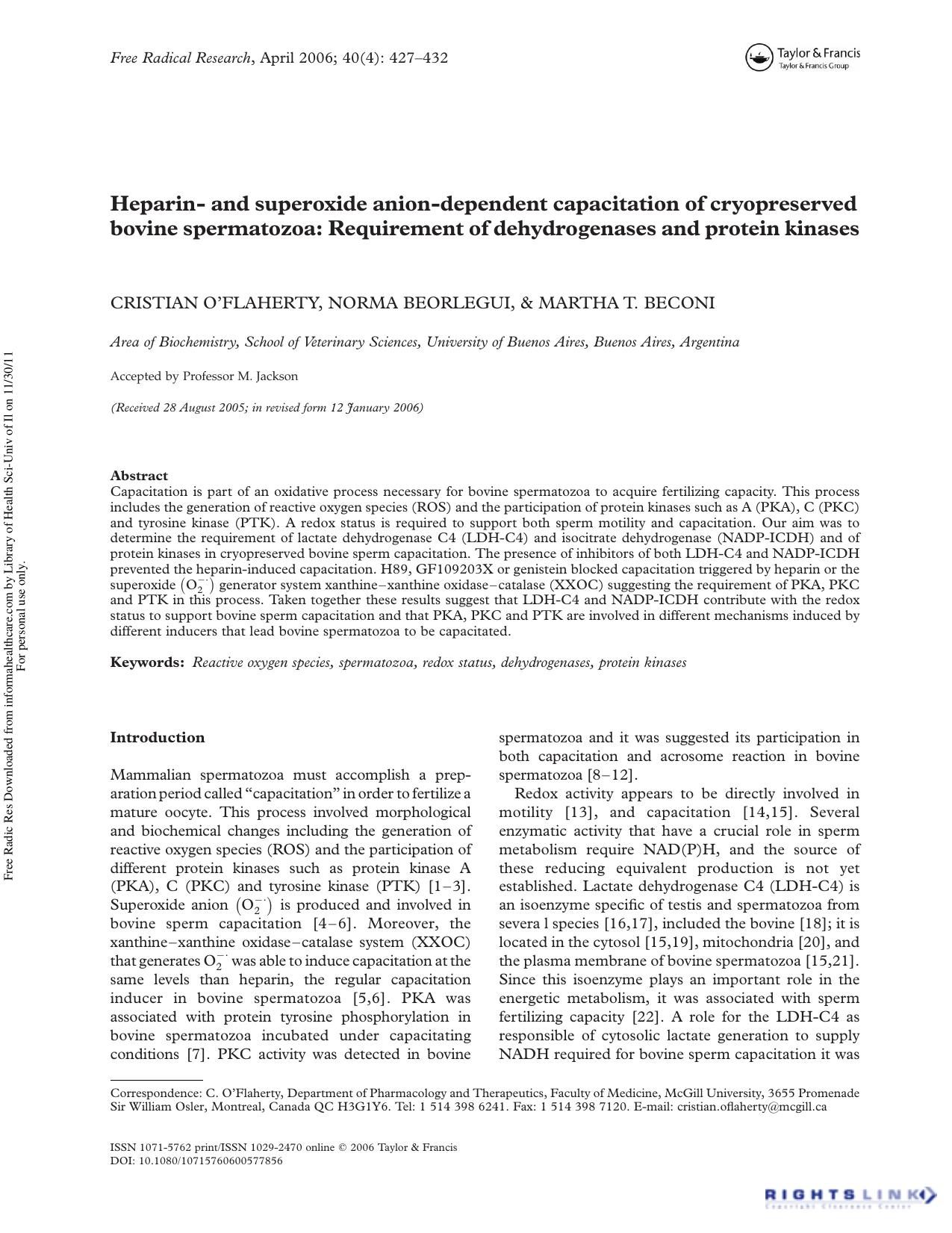 Heparin- and superoxide anion-dependent capacitation of cryopreserved bovine spermatozoa: Requirement of dehydrogenases and protein kinases by Cristian O'Flaherty1† Norma Beorlegui1 & Martha T. Beconi1