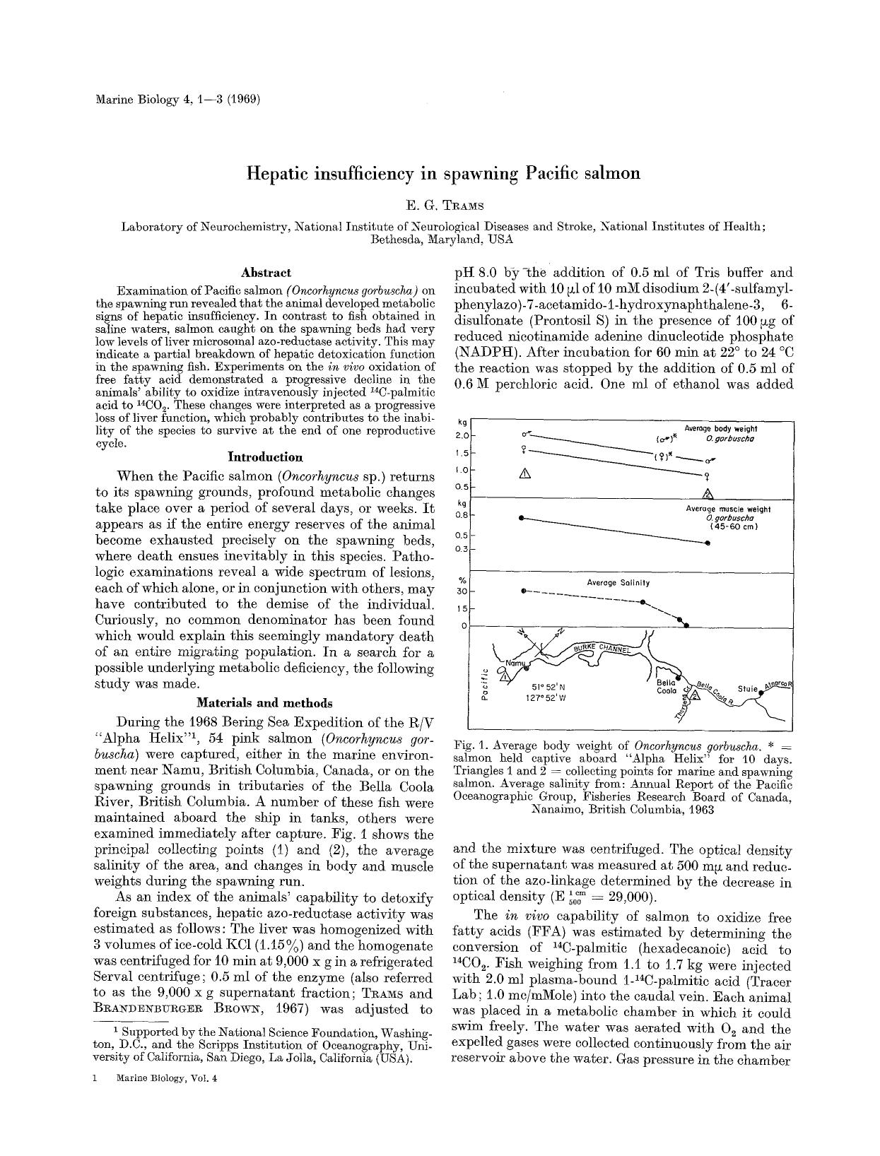 Hepatic insufficiency in spawning Pacific salmon by Unknown