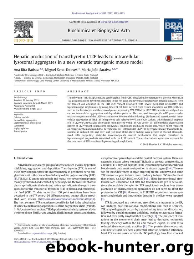 Hepatic production of transthyretin L12P leads to intracellular lysosomal aggregates in a new somatic transgenic mouse model by Ana Rita Batista & Miguel Sena-Esteves & Maria João Saraiva