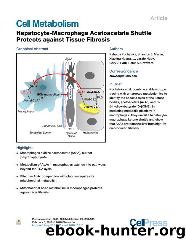 Hepatocyte-Macrophage Acetoacetate Shuttle Protects against Tissue Fibrosis by unknow