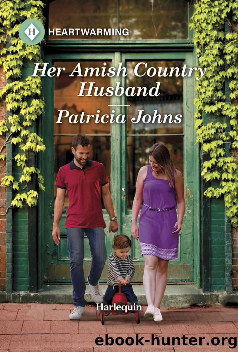 Her Amish Country Husband by Patricia Johns