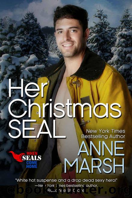 Her Christmas SEAL (When SEALs Come Home Book 7) by Marsh Anne