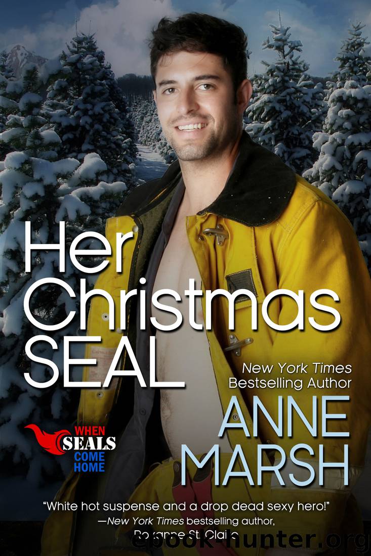 Her Christmas SEAL by Anne Marsh