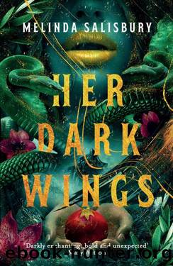 Her Dark Wings by Melinda Salisbury