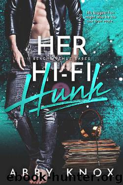 Her Hi-Fi Hunk (Beach Avenue Babes Book 2) by Abby Knox