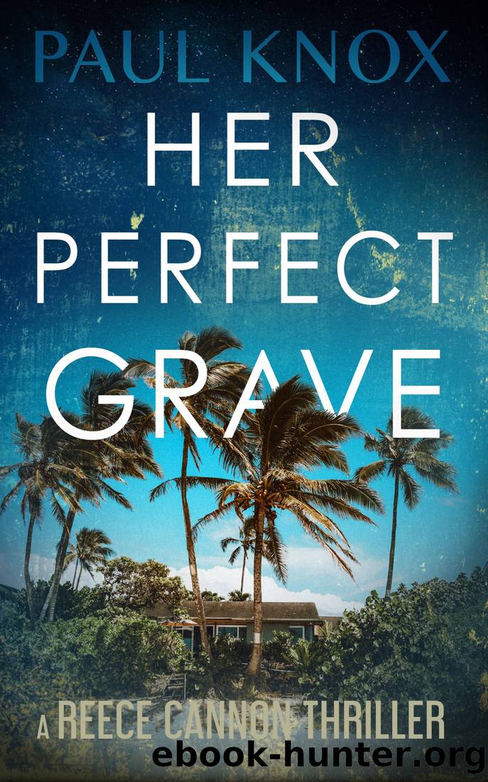 Her Perfect Grave: A completely addictive mystery thriller full of action and adventure (A Reece Cannon Thriller Book 6) by Paul Knox
