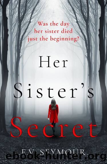 Her Sister's Secret by E. V. Seymour