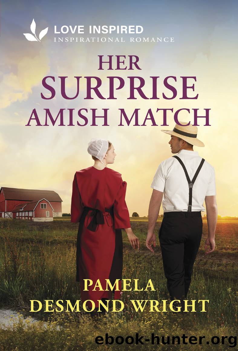 Her Surprise Amish Match by Pamela Desmond Wright