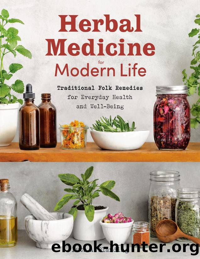 Herbal Medicine for Modern Life: Traditional Folk Remedies for Everyday Health and Well-Being by Ruth Blanding