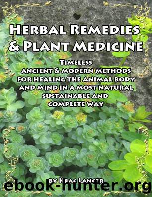 Herbal Remedies & Plant Medicine by Unknown