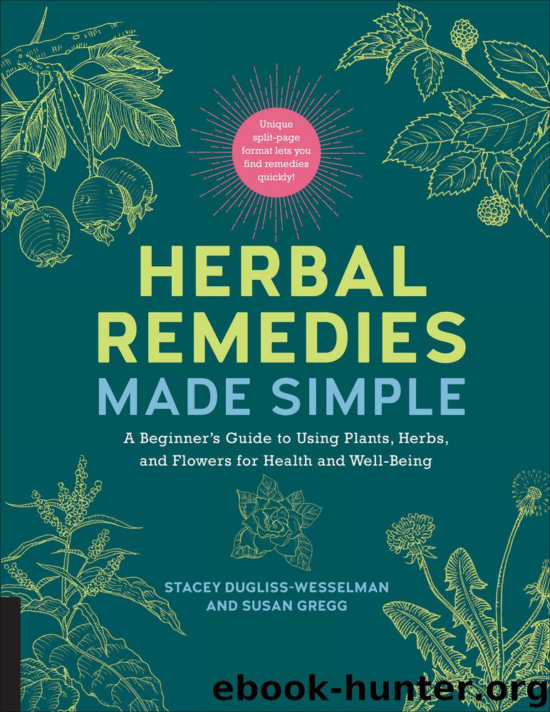 Herbal Remedies Made Simple by Stacey Dugliss-Wesselman