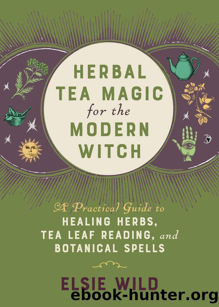 Herbal Tea Magic for the Modern Witch by Elsie Wild