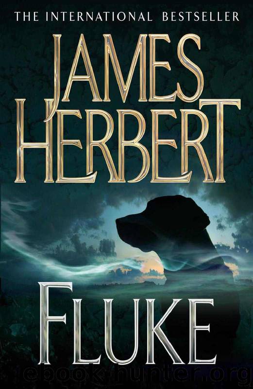 Herbert, James - Fluke by Herbert James