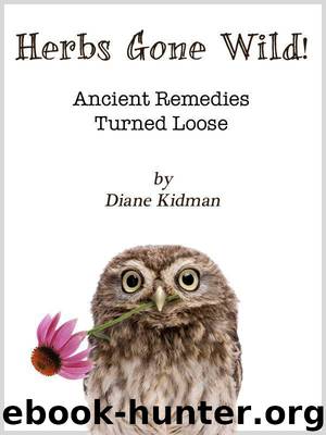 Herbs Gone Wild! Ancient Remedies Turned Loose by Diane Kidman