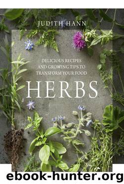Herbs by Hann Judith