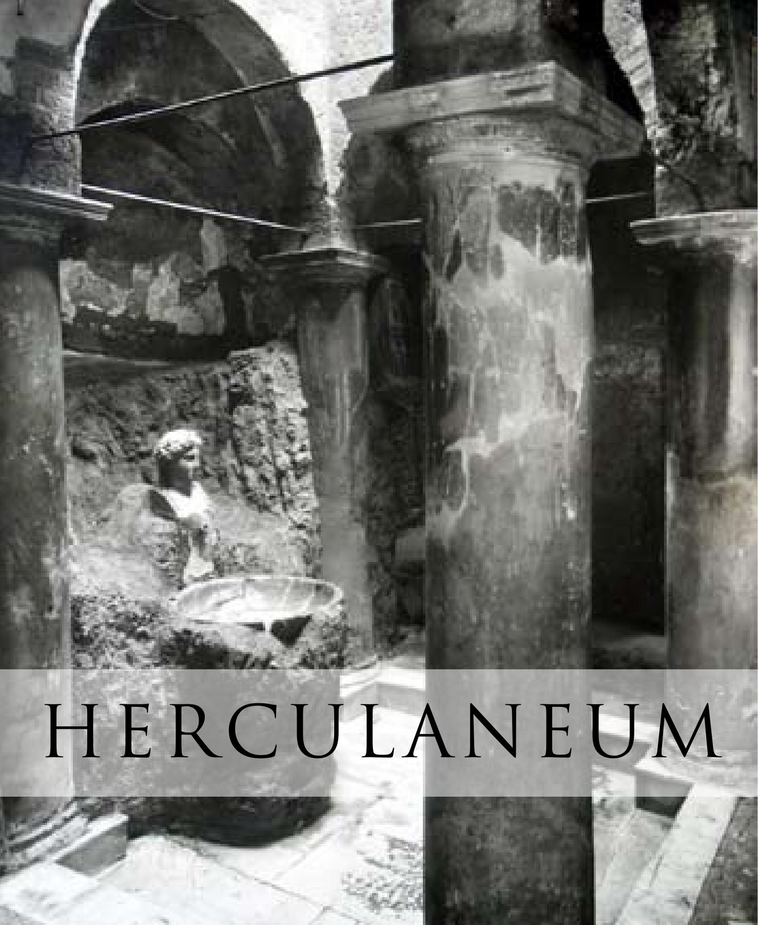 Herculaneum: Past and Future by Andrew Wallace-Hadrill