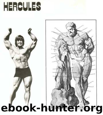 Hercules Bodybuilding System by Hercules