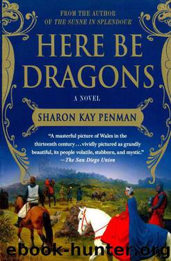 Here Be Dragons by Sharon Kay Penman