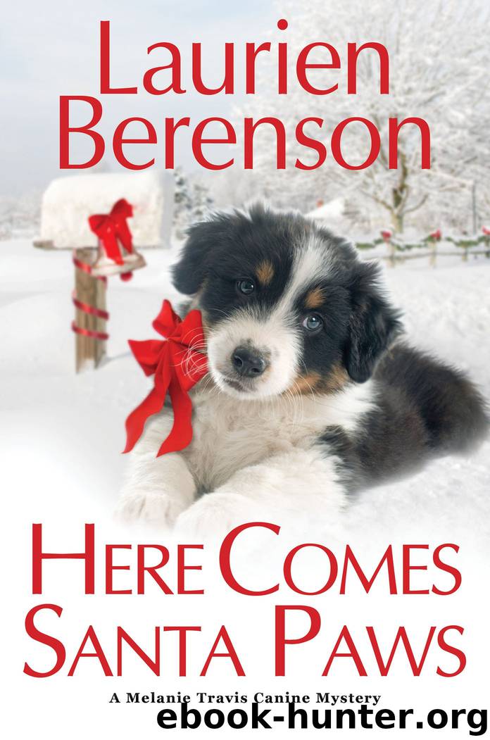 Here Comes Santa Paws by Laurien Berenson