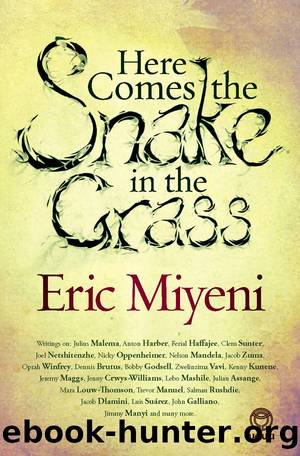 Here Comes the Snake in the Grass by Eric Miyeni