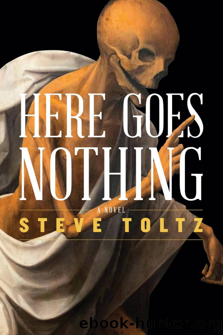 Here Goes Nothing by Steve Toltz