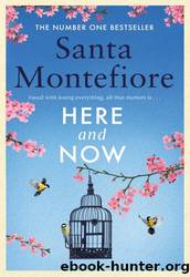 Here and Now by Santa Montefiore
