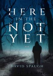 Here in the Not Yet by David Spaugh