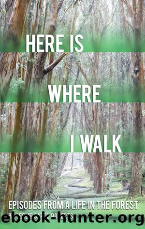 Here is Where I Walk by Leslie Carol Roberts