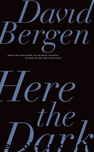 Here the Dark by David Bergen