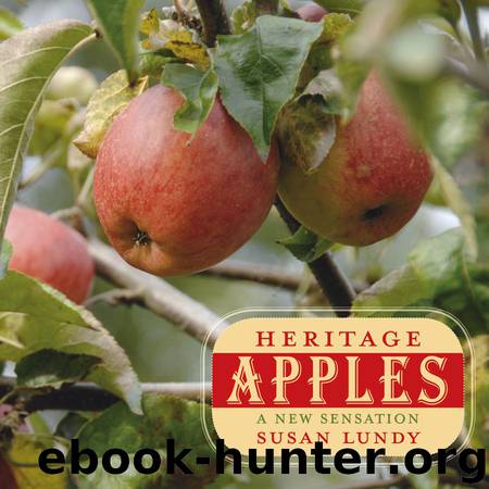 Heritage Apples by Susan Lundy