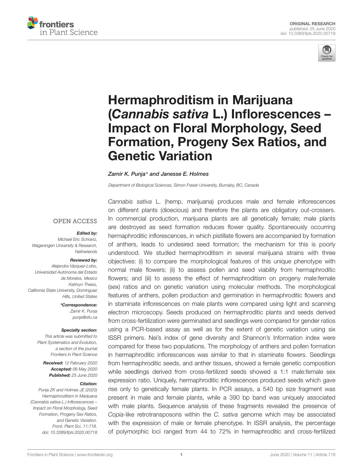 Hermaphroditism in Marijuana (Cannabis sativa L.) Inflorescences â Impact on Floral Morphology, Seed Formation, Progeny Sex Ratios, and Genetic Variation by Zamir K. Punja