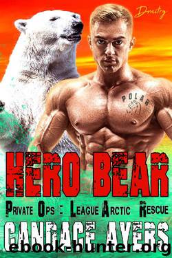 Hero Bear by Candace Ayers