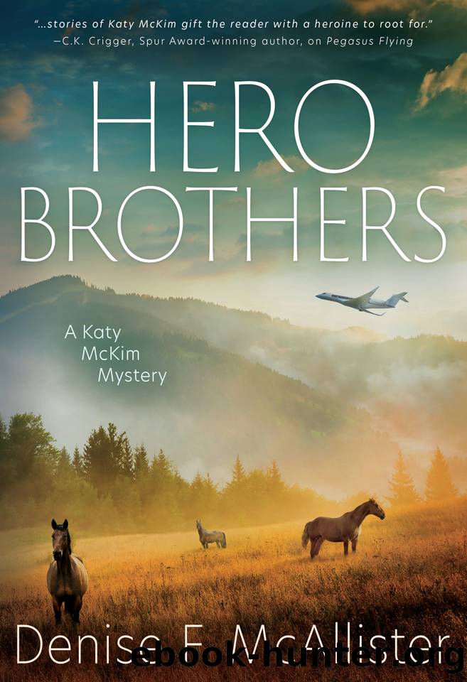 Hero Brothers: A Katy McKim Mystery by Denise F. McAllister