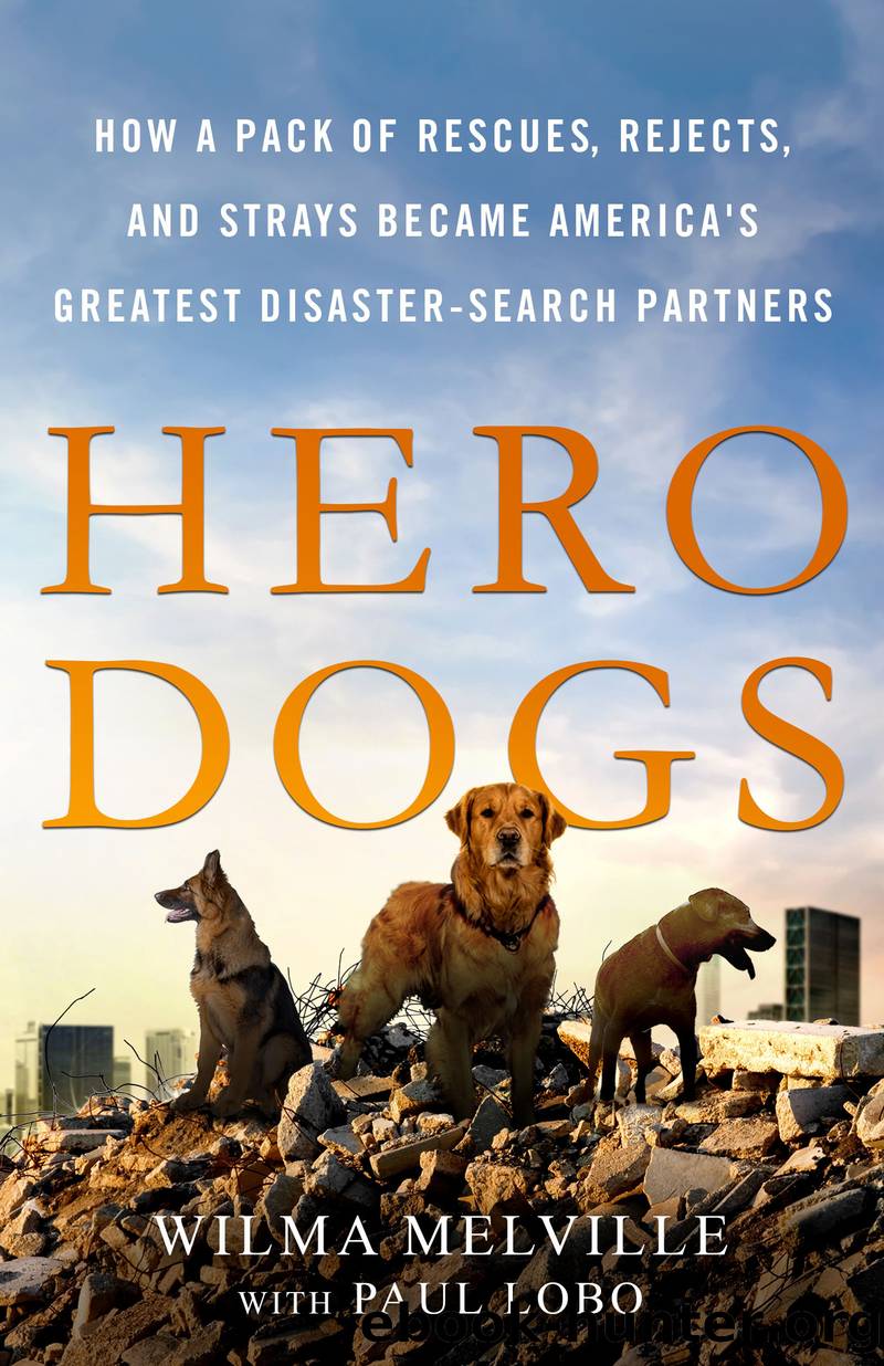Hero Dogs by Wilma Melville