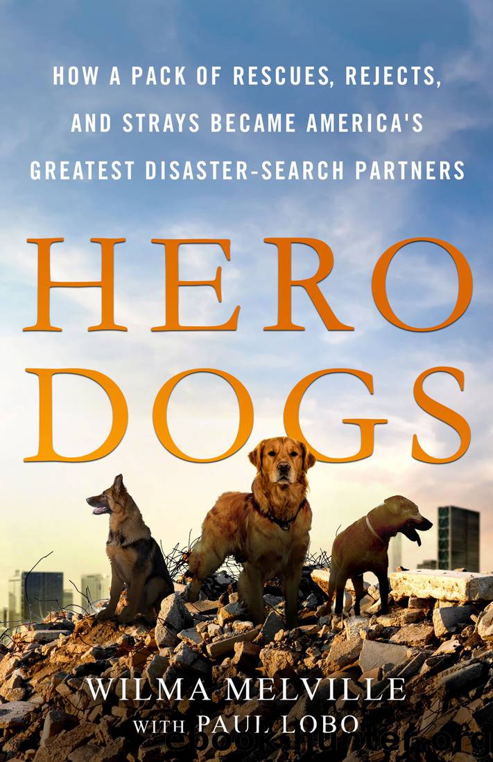 Hero Dogs: How a Pack of Rescues, Rejects, and Strays Became America's Greatest Disaster-Search Partners by Wilma Melville & Paul Lobo