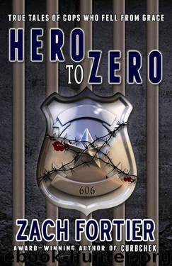 Hero To Zero 2nd edition by Fortier Zach