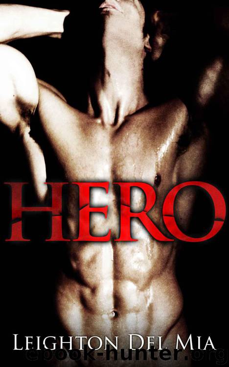 Hero by Del Mia Leighton