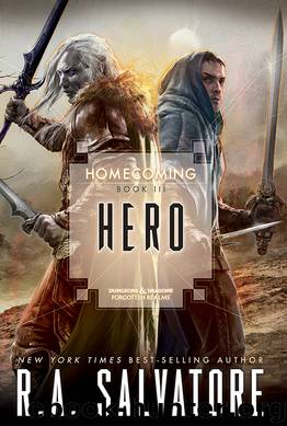 Hero by R.A. Salvatore