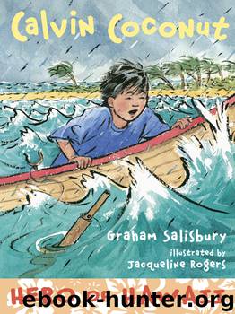 Hero of Hawaii by Graham Salisbury