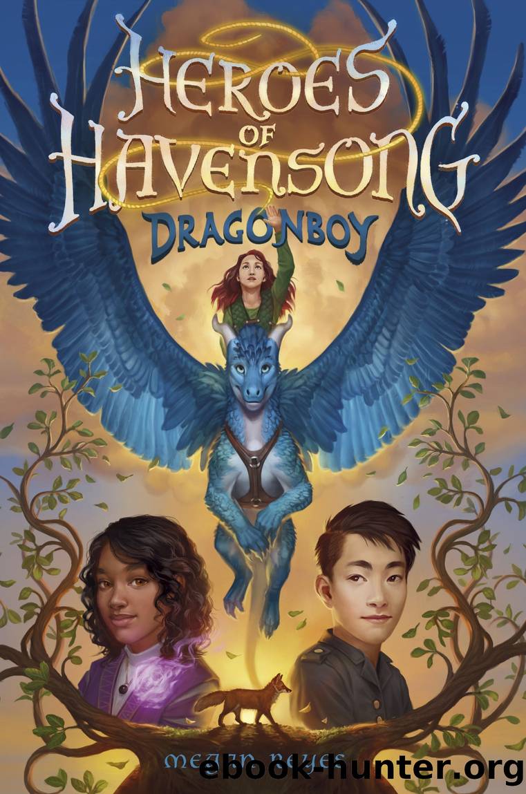 Heroes of Havensong by Megan Reyes