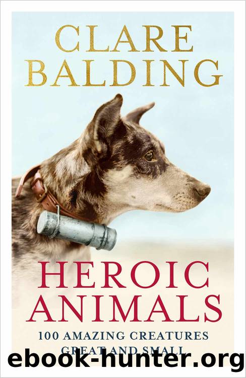Heroic Animals: 100 Amazing Creatures Great and Small by Clare Balding