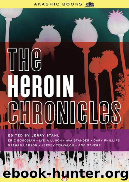 Heroin Chronicles by Jerry Stahl