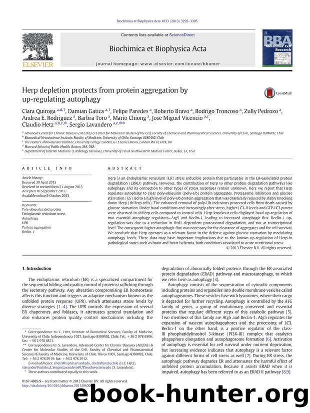 Herp depletion protects from protein aggregation by up-regulating autophagy by unknow