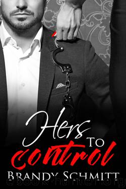 Hers to Control by Brandy Schmitt