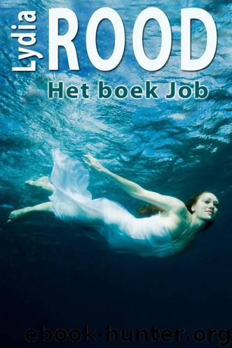 Het boek Job by Lydia Rood