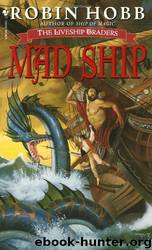Het dolende schip by Robin Hobb