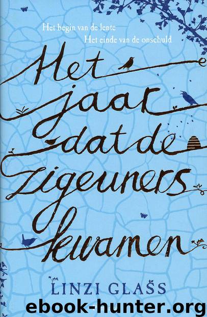 Het jaar dat de zigeuners kwamen by Linzi Glass