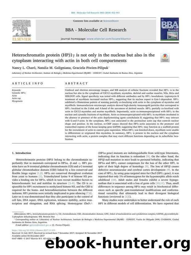 Heterochromatin protein (HP)1Î³ is not only in the nucleus but also in the cytoplasm interacting with actin in both cell compartments by Nancy L. Charó & Natalia M. Galigniana & Graciela Piwien-Pilipuk