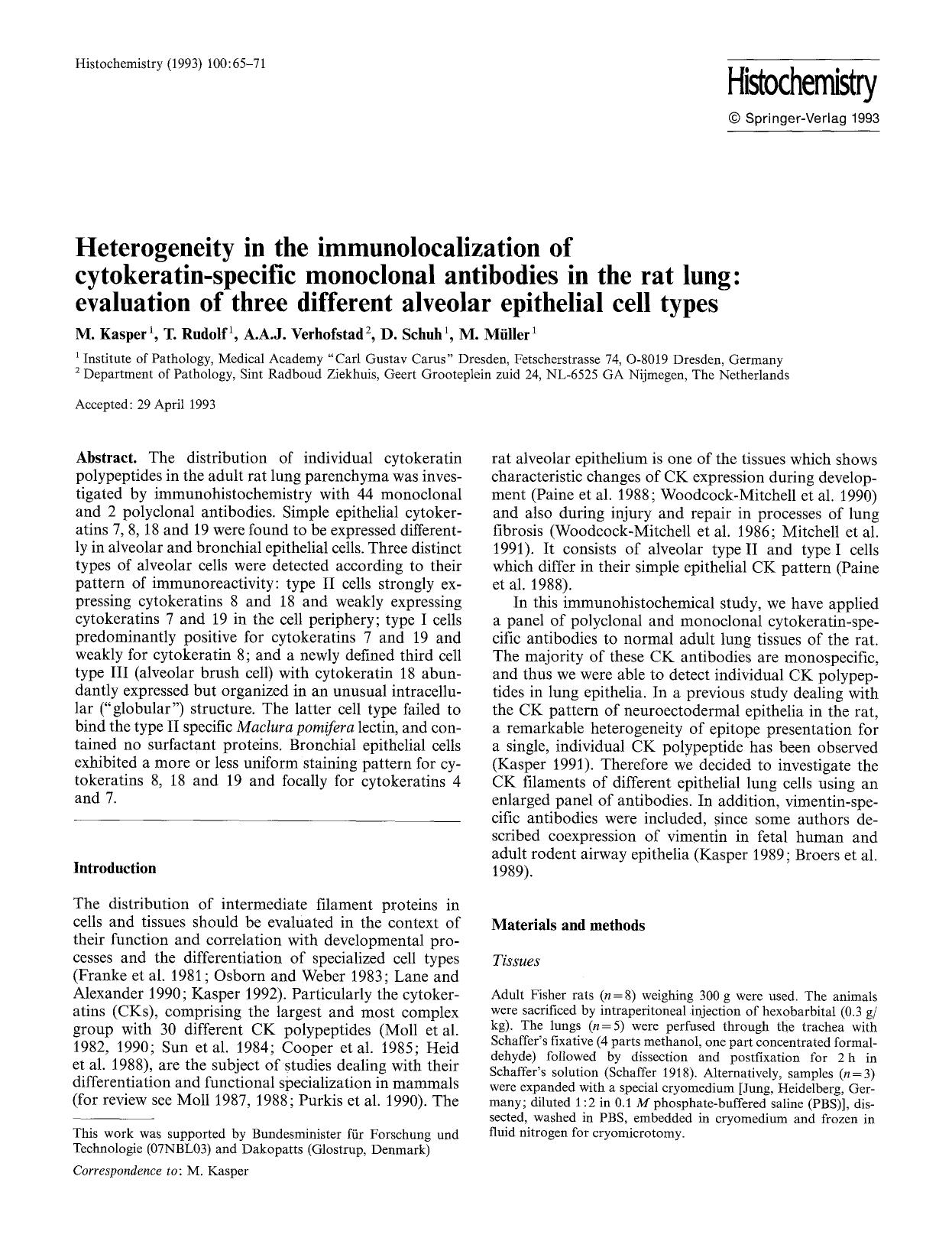 Heterogeneity in the immunolocalization of cytokeratin-specific monoclonal antibodies in the rat lung: evaluation of three different alveolar epithelial cell types by Unknown