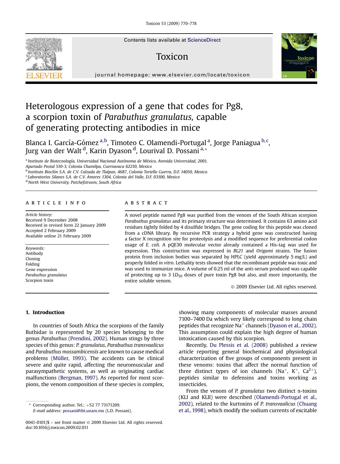 Heterologous expression of a gene that codes for Pg8, a scorpion toxin of Parabuthus granulatus, capable of generating protecting antibodies in mice by unknow